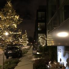 Holiday Lights- Broder Property Management 7